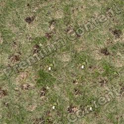 High Resolution Seamless Grass Texture